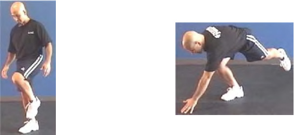 step11and12.jpg