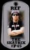 The Skatrix