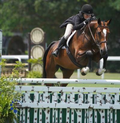 Women sport news - Jennifer Bliss and Flight Land the $2,500 USHJA National Hunter Derby, Presented by Equiline