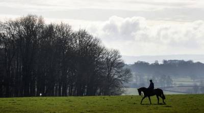 Women sport news - Team Tizzard relishing Magners Cheltenham Gold Cup tilt with Lostintranslation